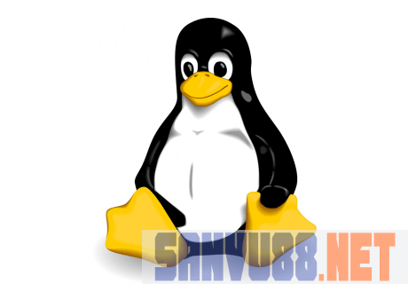 linux kernel 4.19